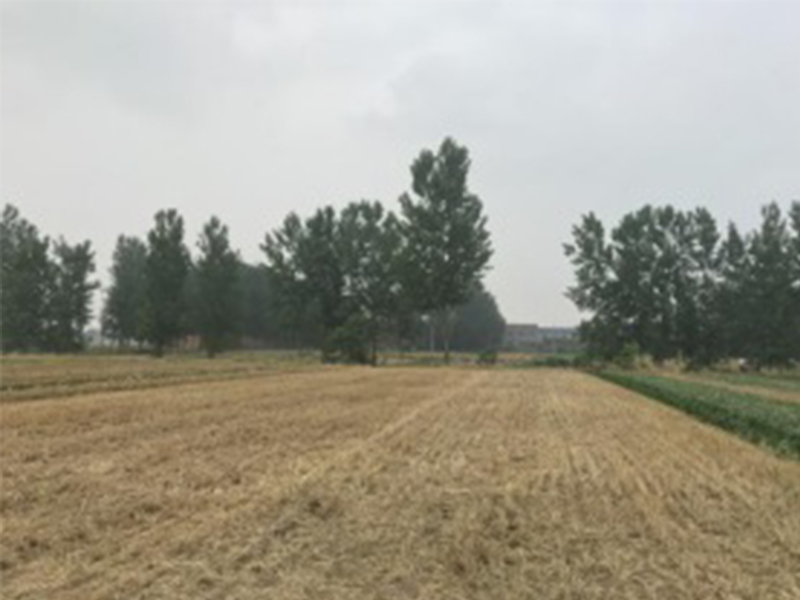 風(fēng)脈太康100MW風(fēng)電項目110kV升壓站工程環(huán)評報告表